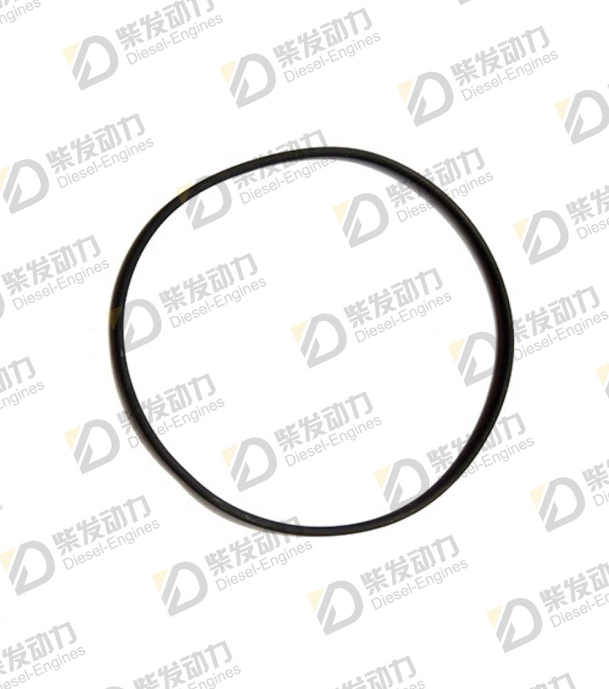 Gasket 413619 
